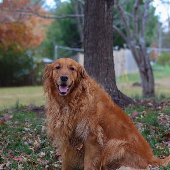 Meet your Posher - Picture 2 of 2